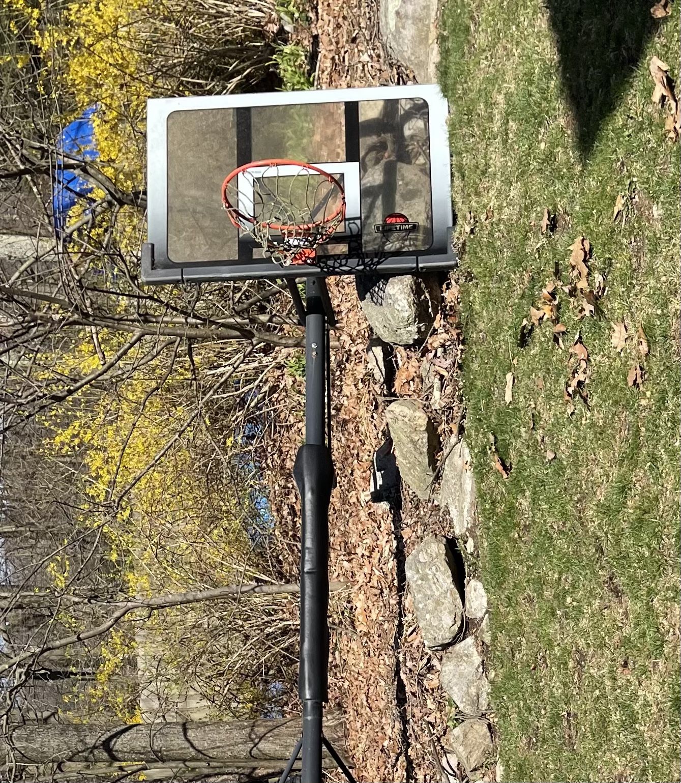 Basketball Hoop