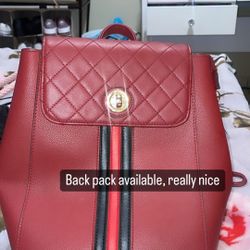 Back Pack