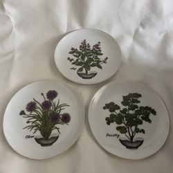 Vintage MCM Herbs Decorative Plate Set Sage Parsley Chives & Mustard Granny Core