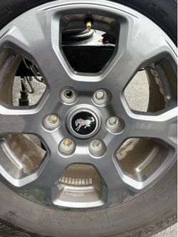 Ford bronco wheels and tires
