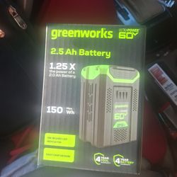 Greenworks 2.5 ah battery