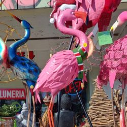 Colorful Festive Pink Flamingo Garden Decor 