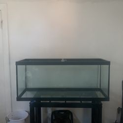 75 Gallon Fish Tank 