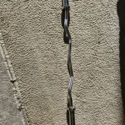 Curl Bar