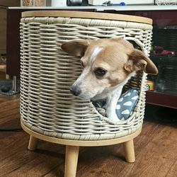 Cat Or  Dog  Bed 