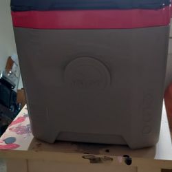 IGLOO 1 GAL. COOLER