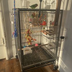 Cage BIRD For Sale