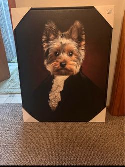 Yorkshire terrier