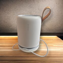 Molekule Mini Air Purifier