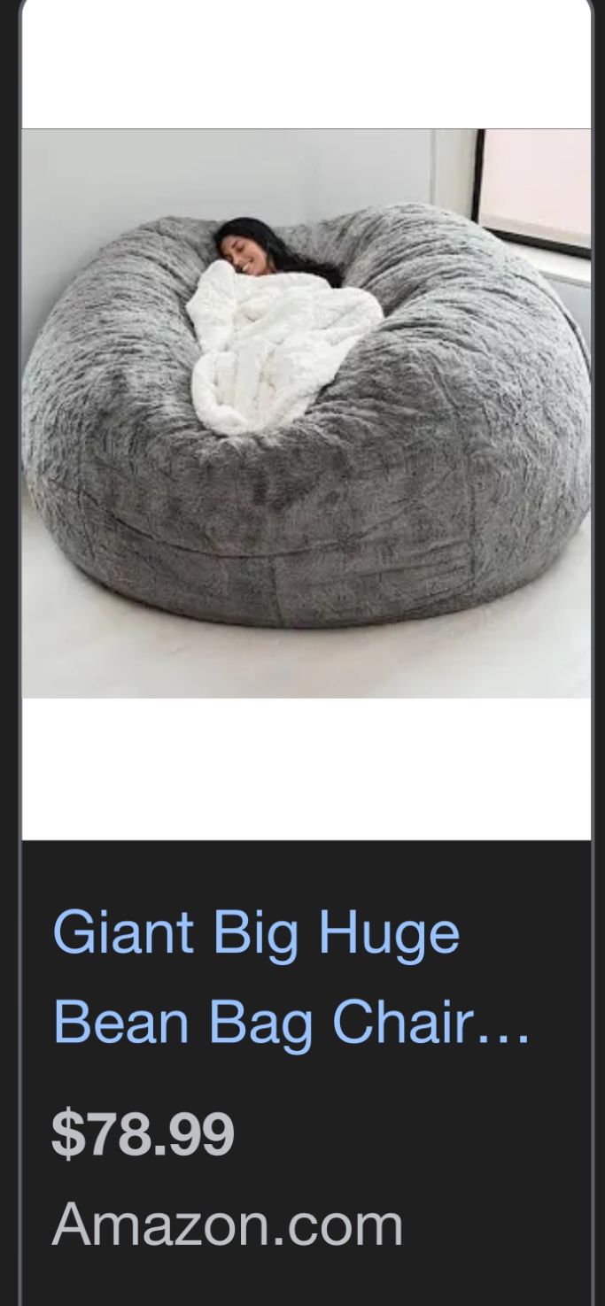 Xl Bean Bag Chair Gently Used