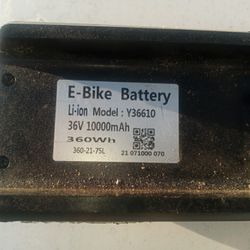 ("Christmas Special")  $80