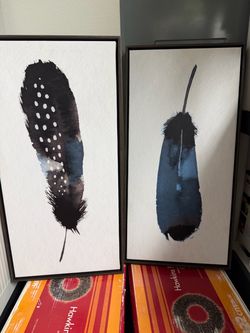 Set of 2 canvas art