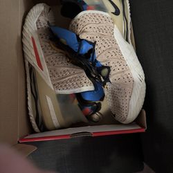 LeBron 2020 Animal Print 