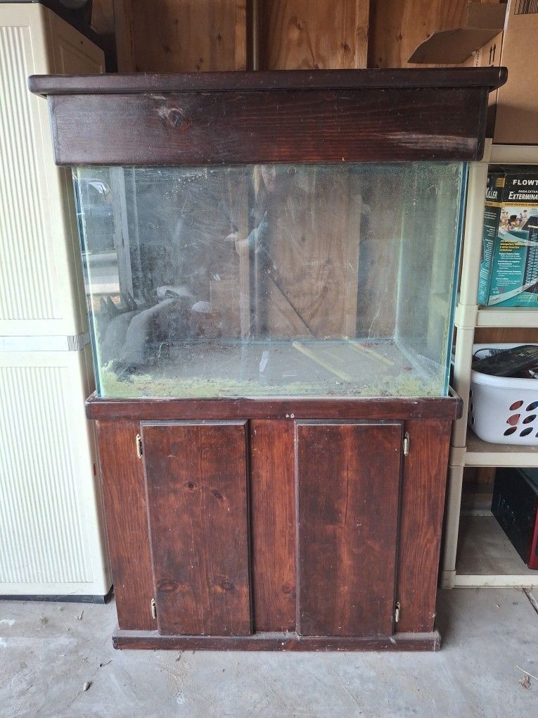 Fish Tank