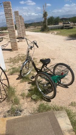 2 Adult tricycle with basket