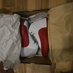 Jordans12s DS Size10 1/2