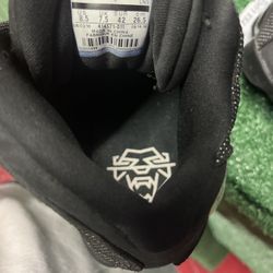 Jordan 13