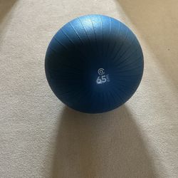 Exercise Ball for Sale