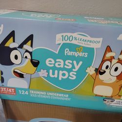 Pull Ups Training Pants 