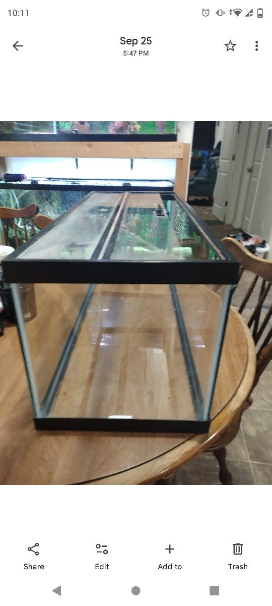 Fish Tank 
