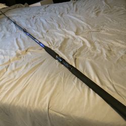 Daiwa Beef Stick Casting Rod