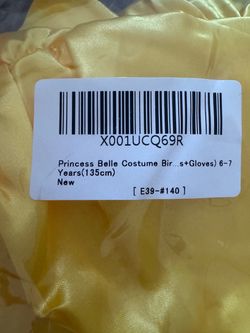 Princess Belle Halloween Costume