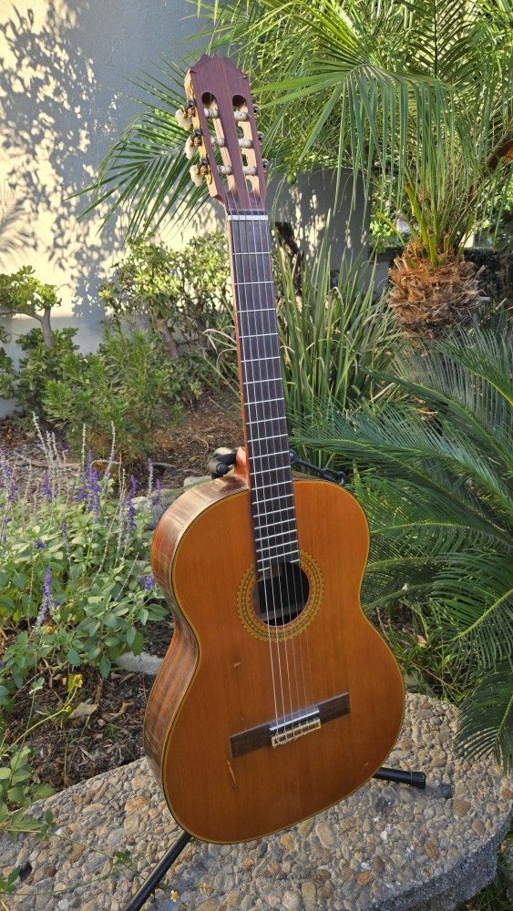 1974 Aria AC30 Concert Classical Guitar