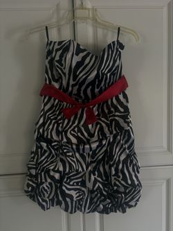 Y2K Zebra Animal Print Dress