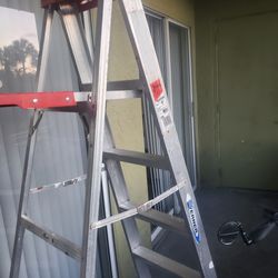 6 Ft Ladder