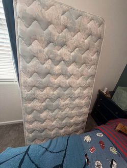 Twin Mattress with Serna Cover