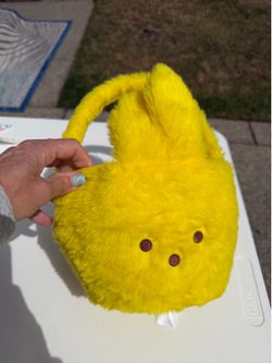 Fuzzy chicken basket