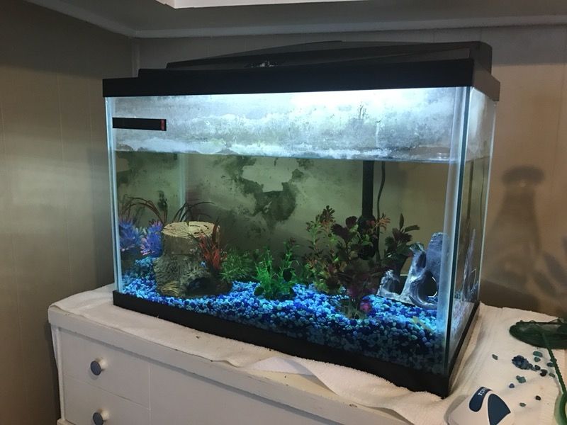 25 gallon fish tank