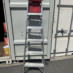 6’ Aluminum Werner Ladder
