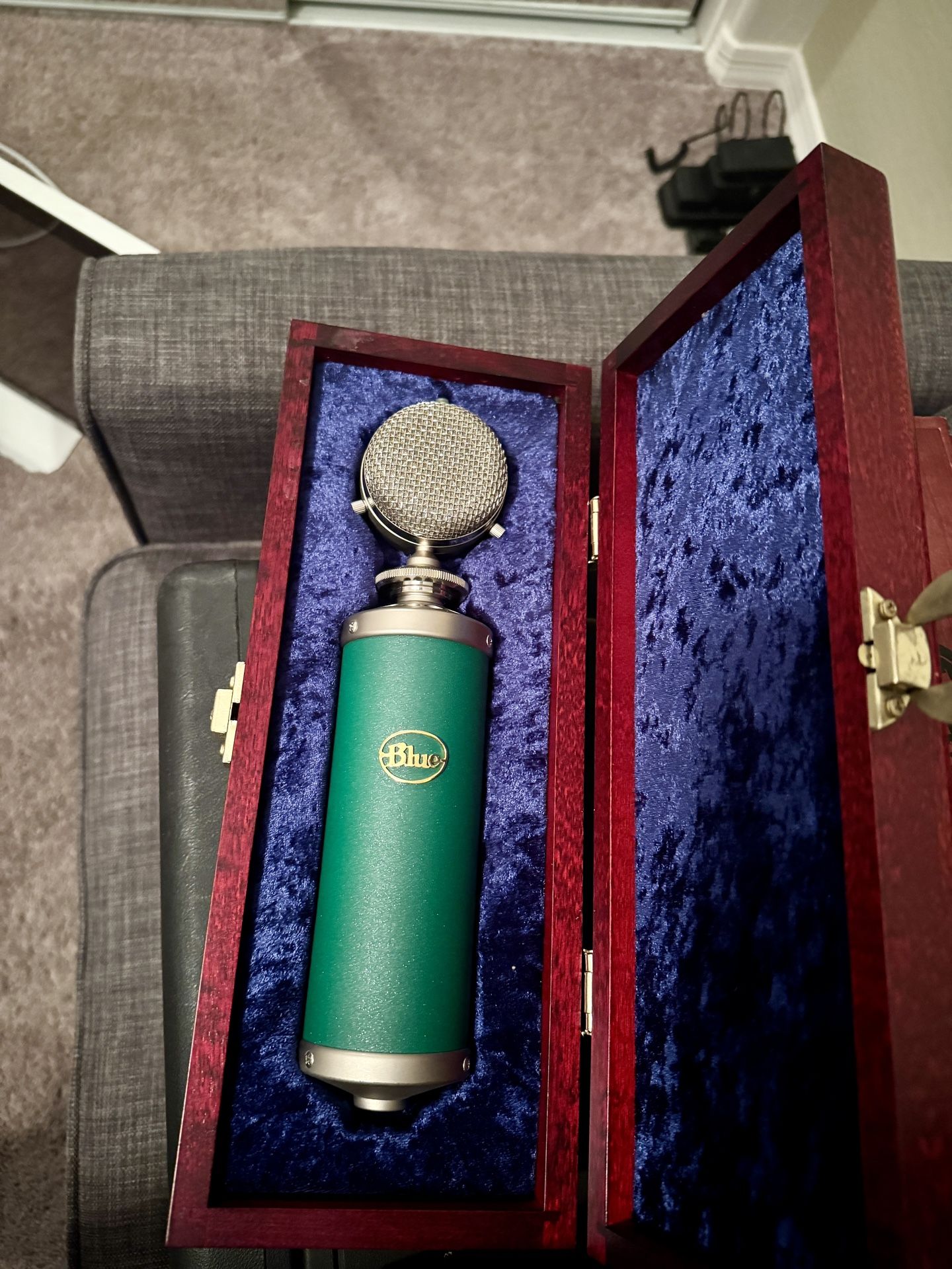 Blue Kiwi Microphone