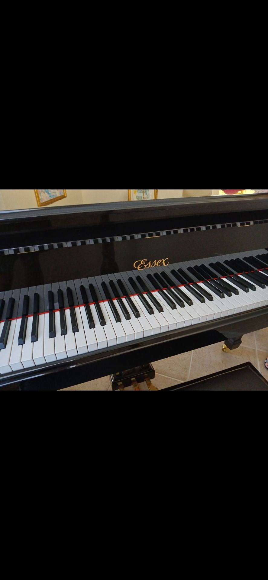 NEW Essex Piano 