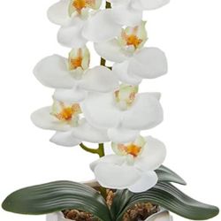 Artificial Flowers - Orchid Faux Flowers with Ceramic Vase Phalaenopsis (B09TVHJ4GG)