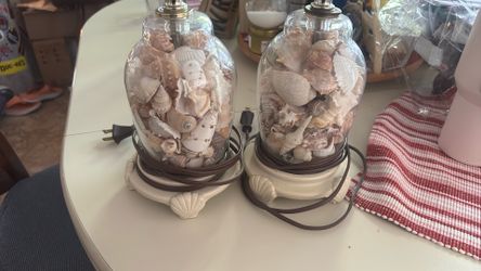 2 seashell lamps