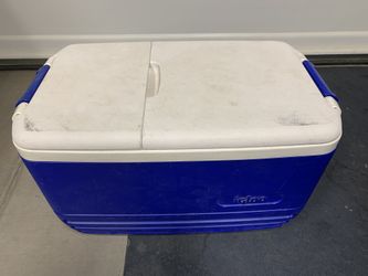 $15 Igloo Cooler With Inside Tray - Maybe A 48 Quart Size