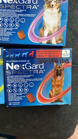 Nexgard