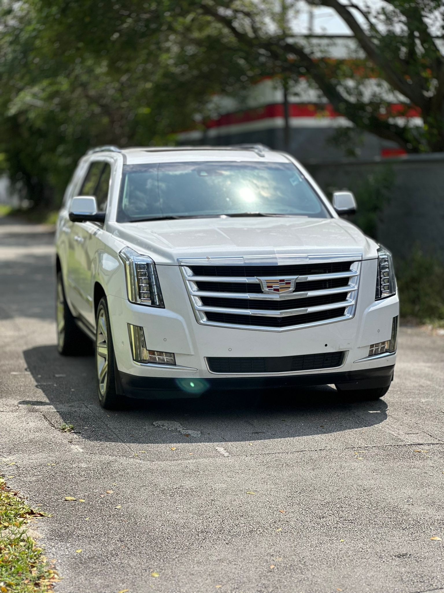 2019 Cadillac Escalade