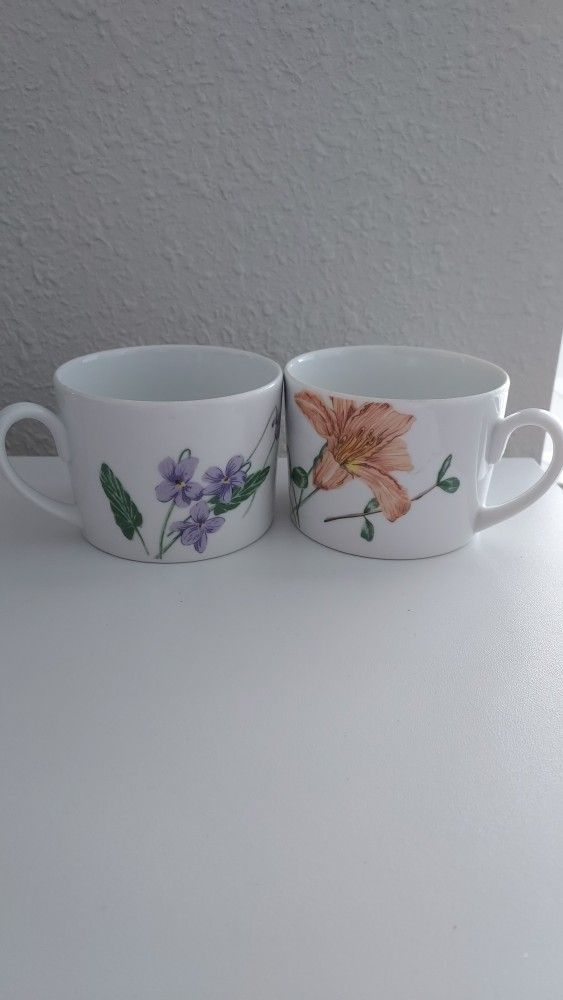 Mikasa China Coffee Tea Cup Floral Splendor Y0258 2 Cups 2.5 Inch