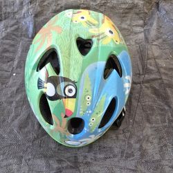 Bicycle Helmet "Schwinn"