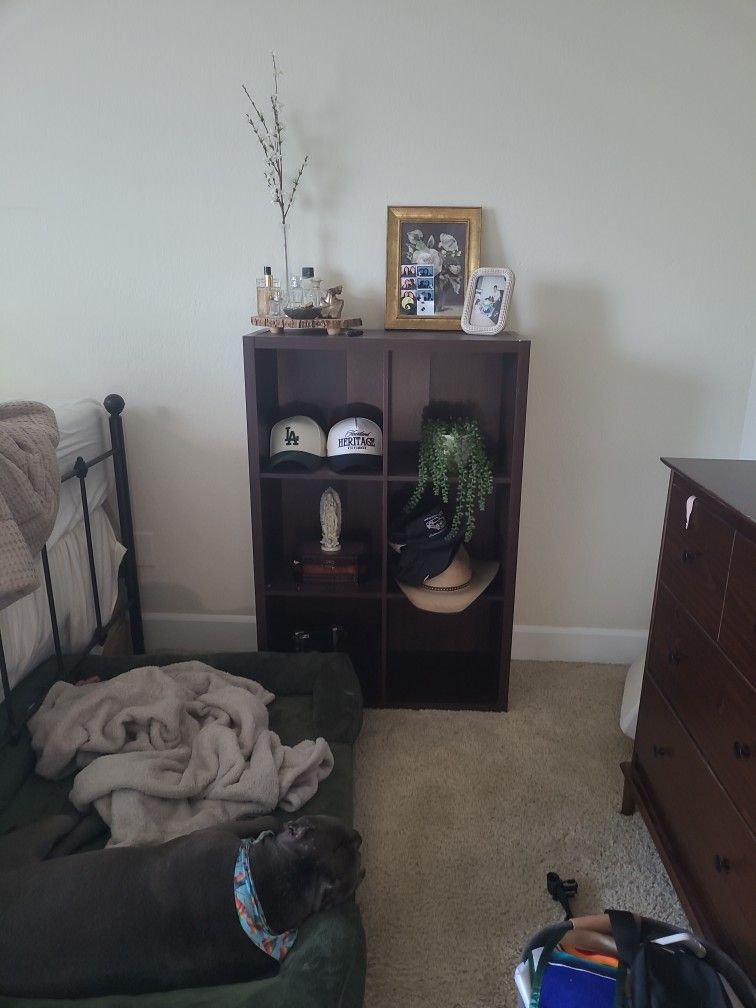 Shelf