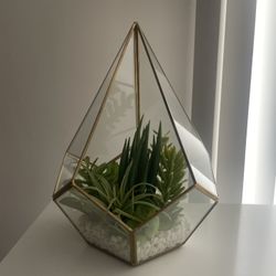 Faux Succulent Plant