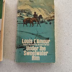 Mystery And Adventure Novels