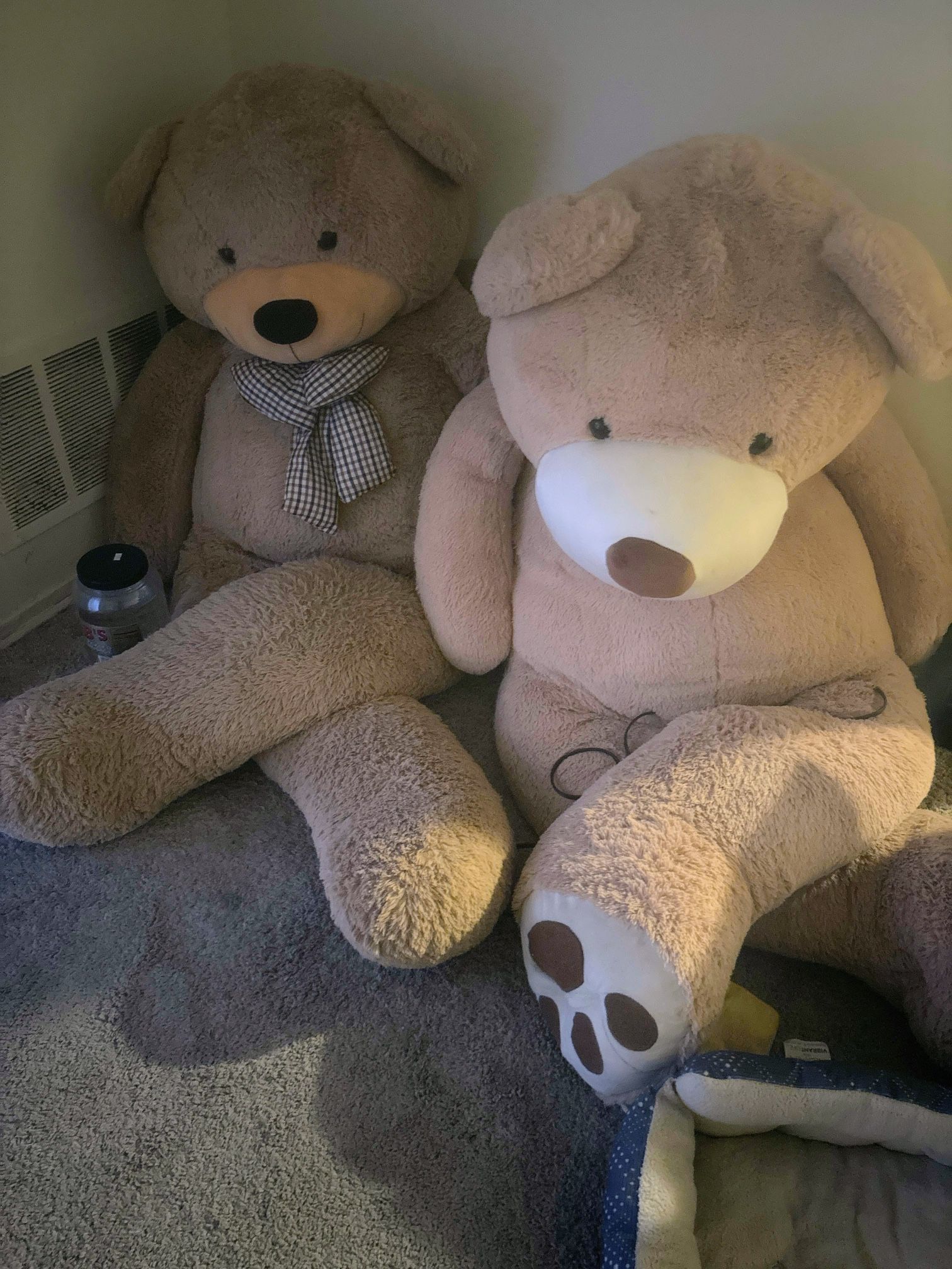 Giant Plush Teddy bears And Canvas Lion picture