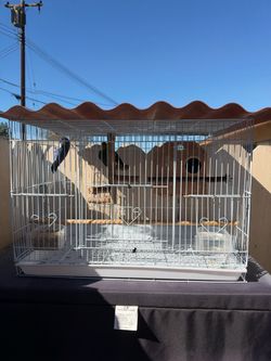 Bird cage
