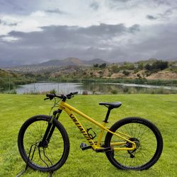 Specialized Rockhopper Comp