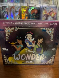 Disney wonder hobby box