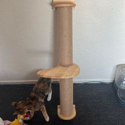 Cat Scratching Post 